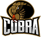 team_logo_10 https://academia.argesfc.ro/wp-content/uploads/2022/11/team_logo_10.png