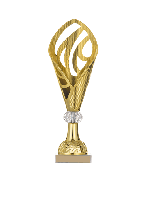 https://academia.argesfc.ro/wp-content/uploads/2022/11/trophy_03.png