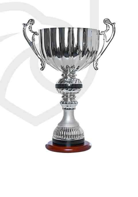 https://academia.argesfc.ro/wp-content/uploads/2022/11/trophy_overlay_01.jpg