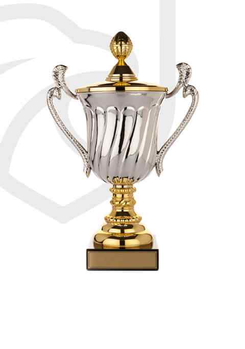 https://academia.argesfc.ro/wp-content/uploads/2022/11/trophy_overlay_02.jpg