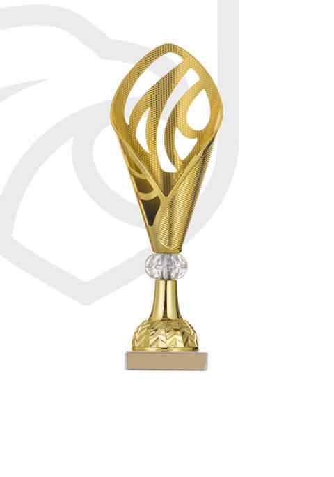 https://academia.argesfc.ro/wp-content/uploads/2022/11/trophy_overlay_03.jpg