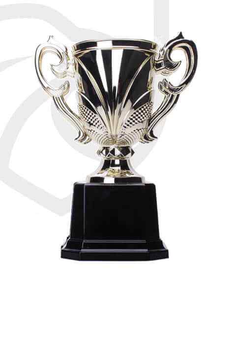 https://academia.argesfc.ro/wp-content/uploads/2022/11/trophy_overlay_04.jpg