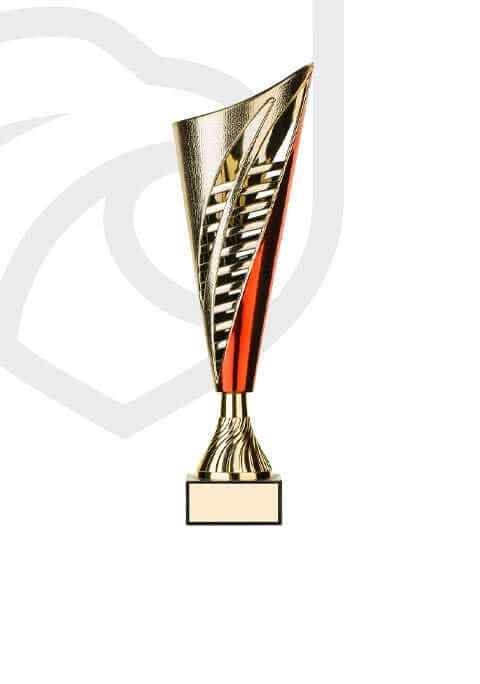 https://academia.argesfc.ro/wp-content/uploads/2022/11/trophy_overlay_05.jpg
