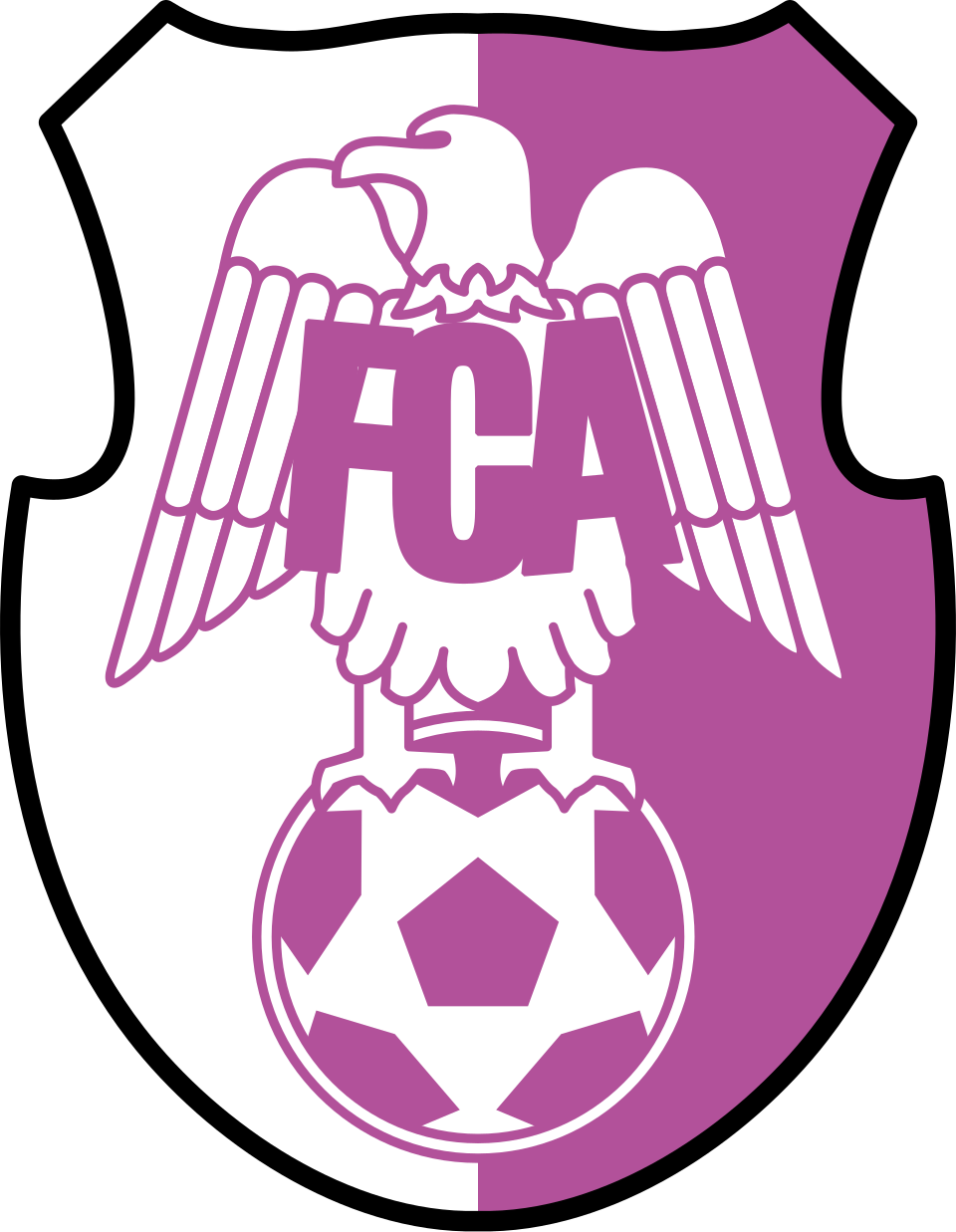 https://academia.argesfc.ro/wp-content/uploads/2026/05/Poza-6.png